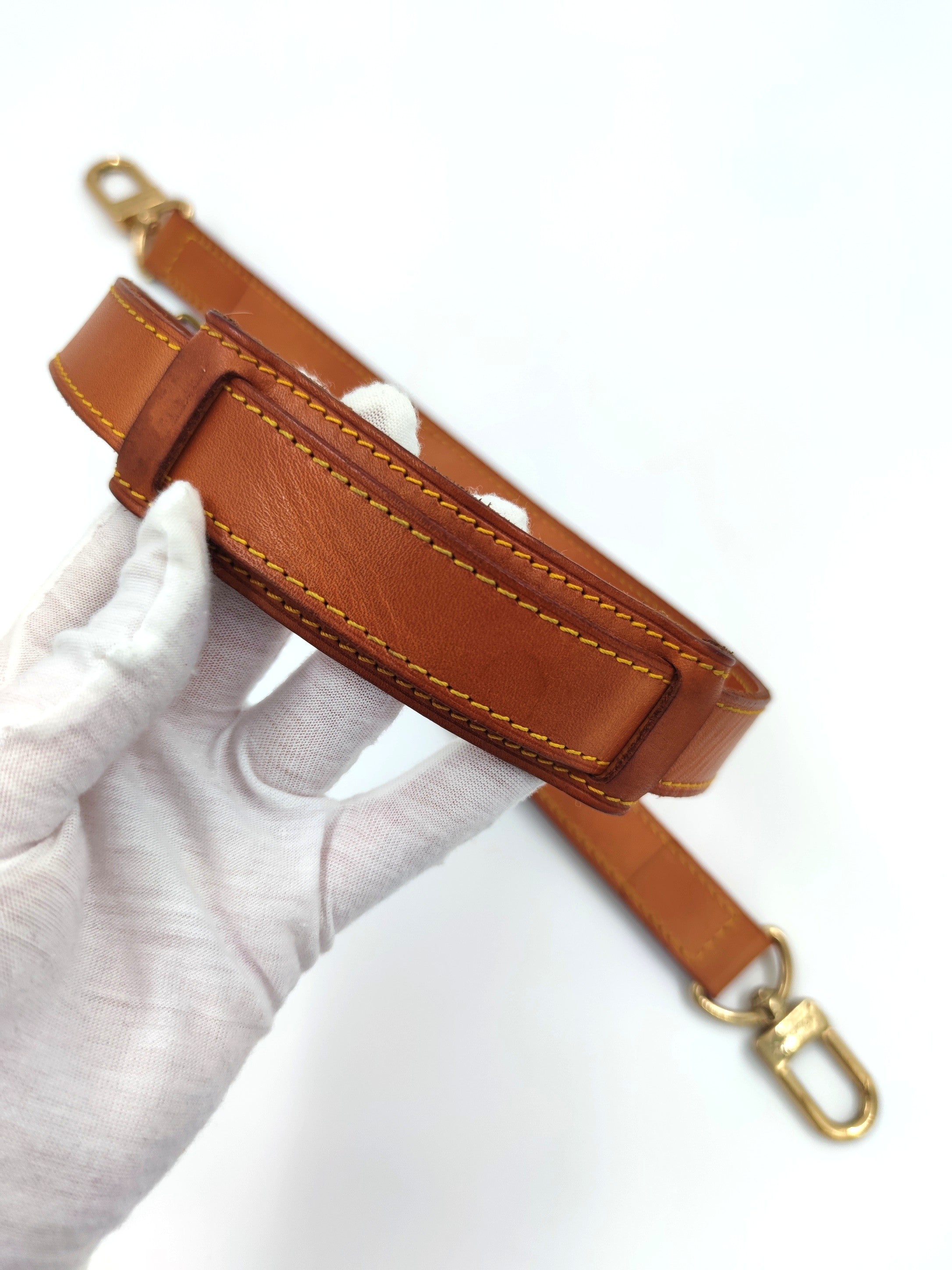 Tracolla Louis Vuitton