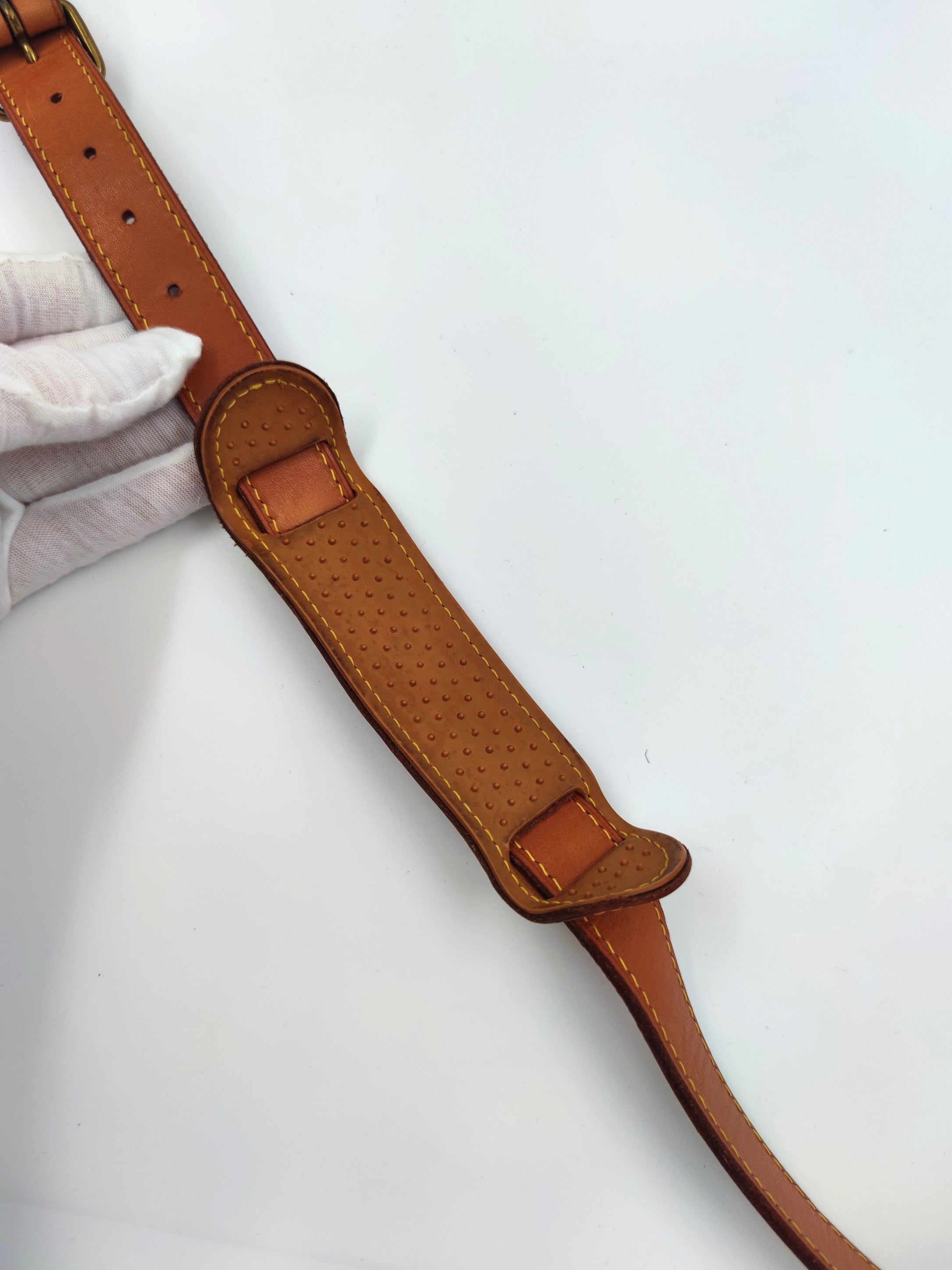 Tracolla Louis Vuitton