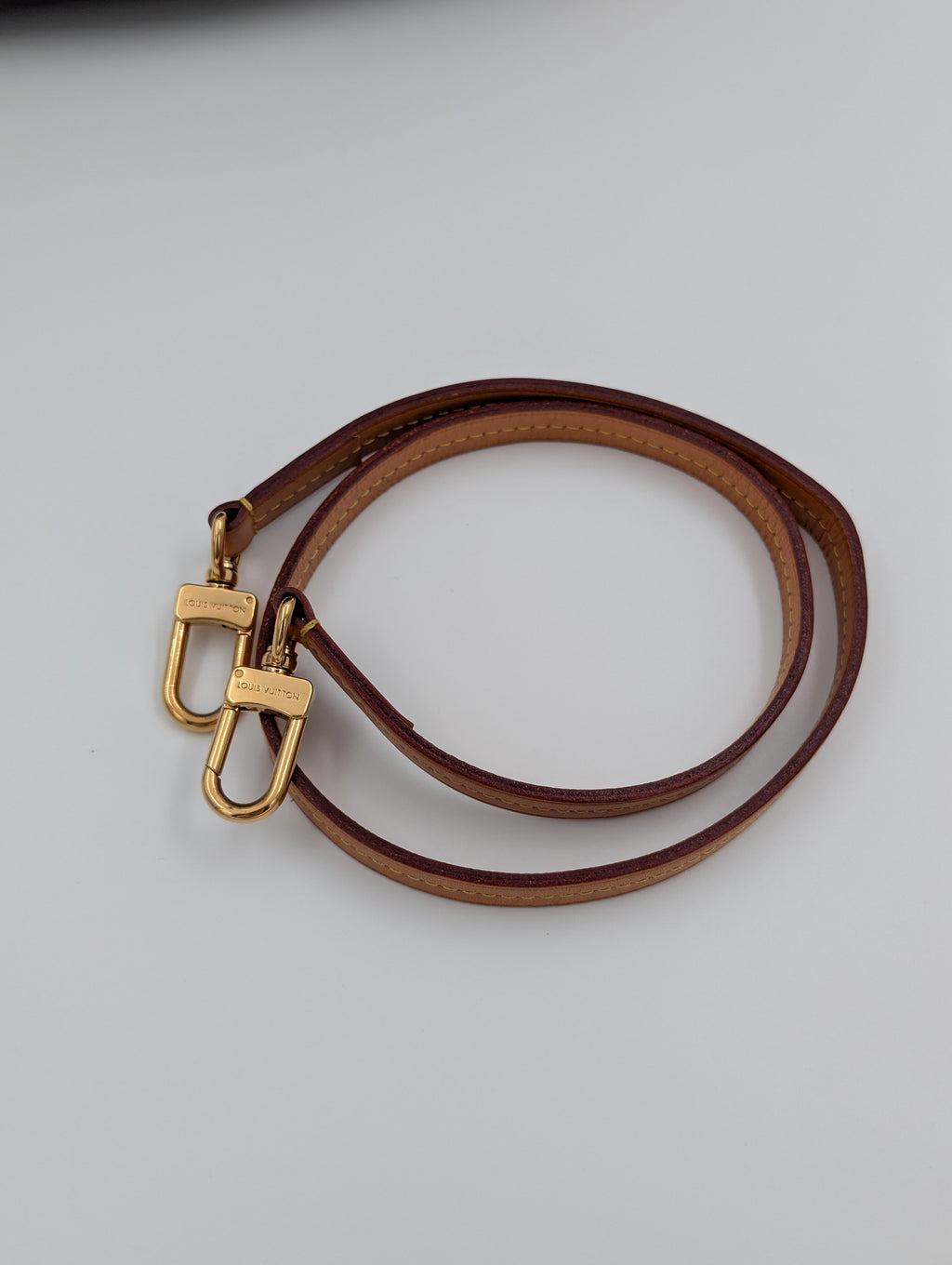 Louis Vuitton Bauletto Segur