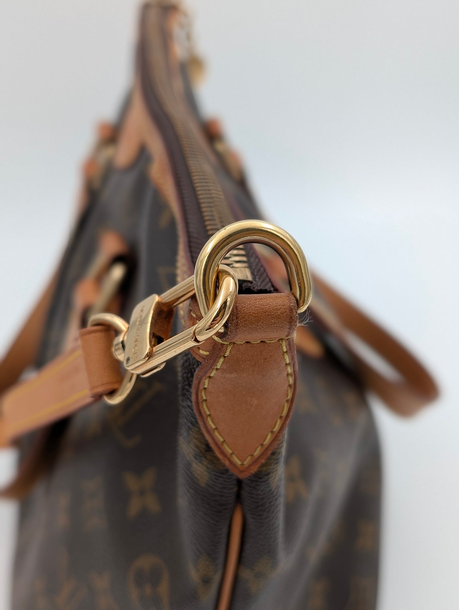 Louis Vuitton Palermo PM Monogram
