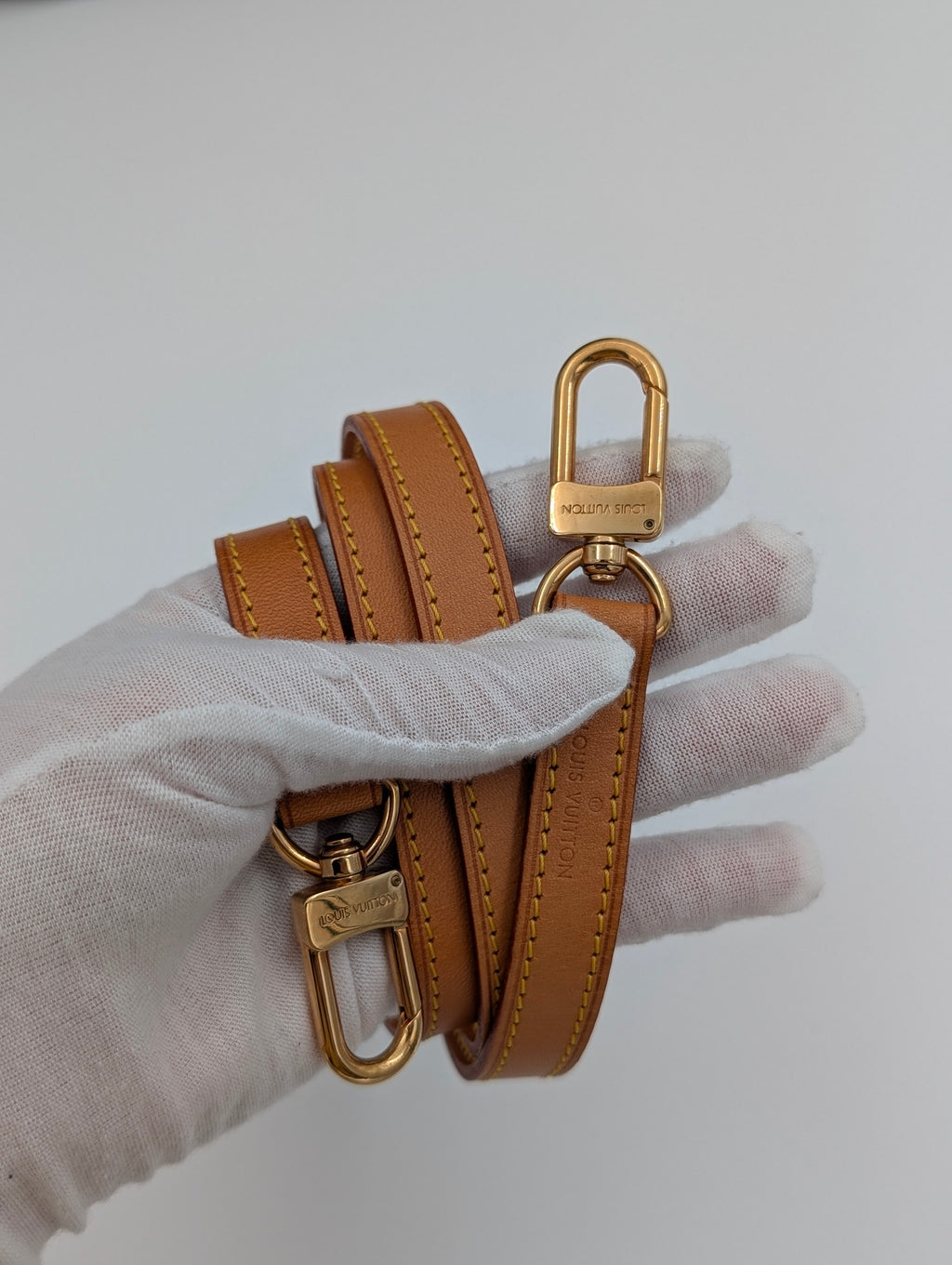 Louis Vuitton Palermo PM Monogram