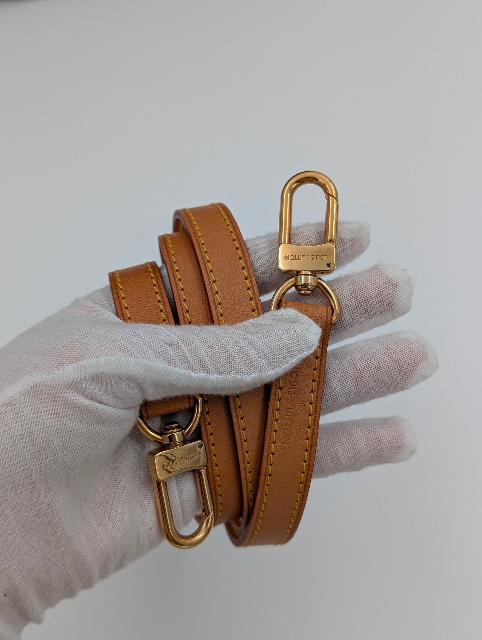 Louis Vuitton Palermo PM Monogram