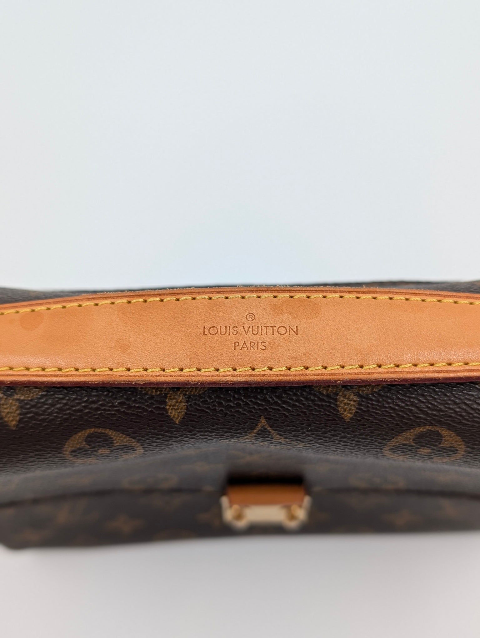 Louis Vuitton Pochette Metis Monogram