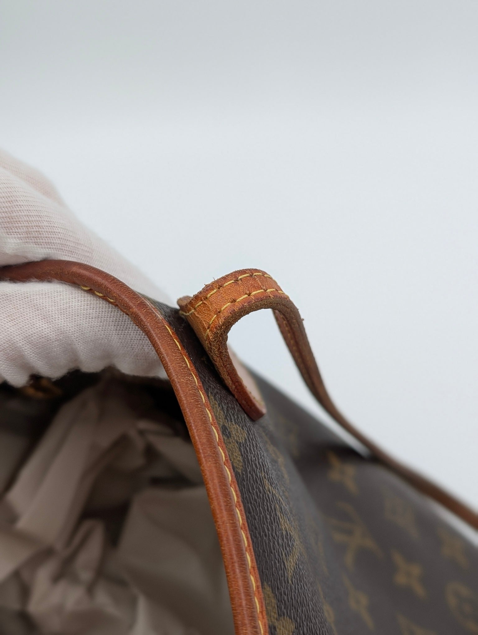 Louis Vuitton Neverfull MM tela Monogram
