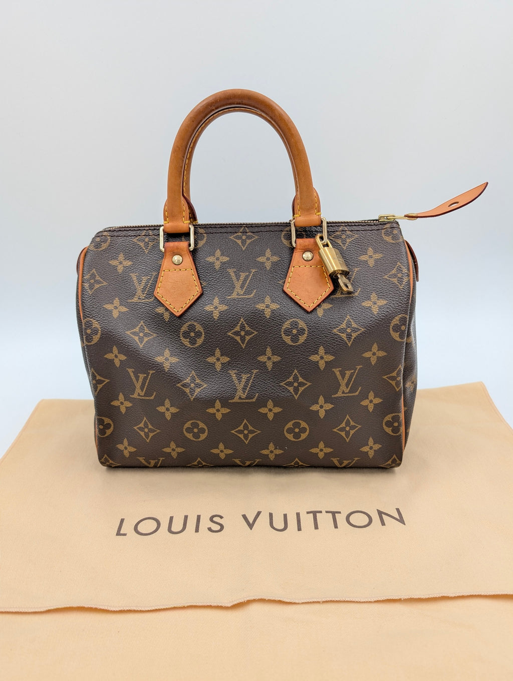 Louis Vuitton Speedy 25 Monogram