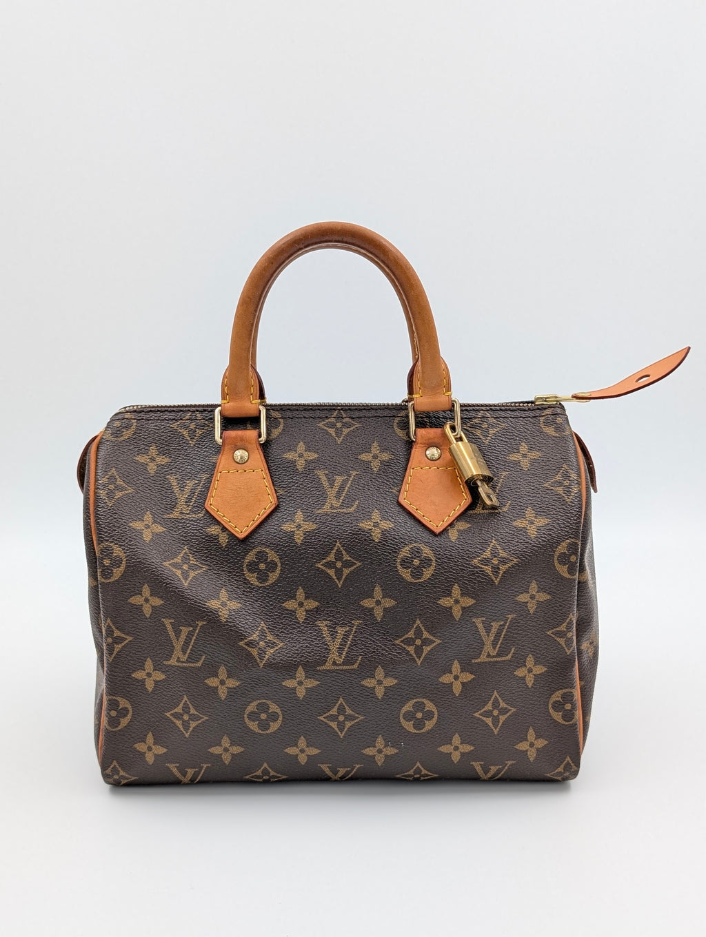 Louis Vuitton Speedy 25 Monogram