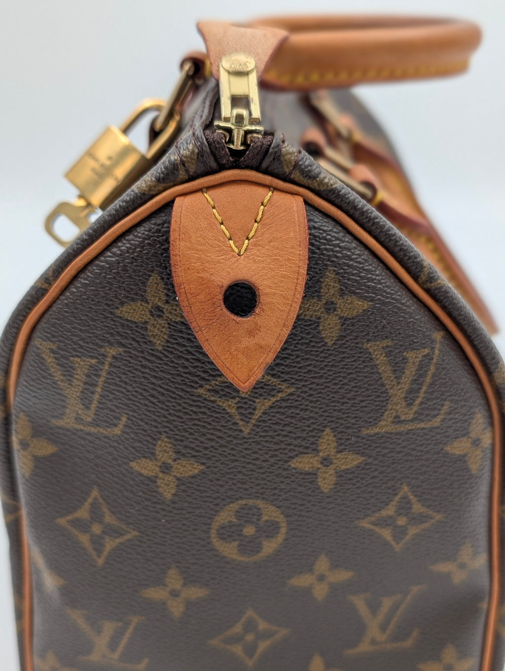 Louis Vuitton Speedy 25 Monogram