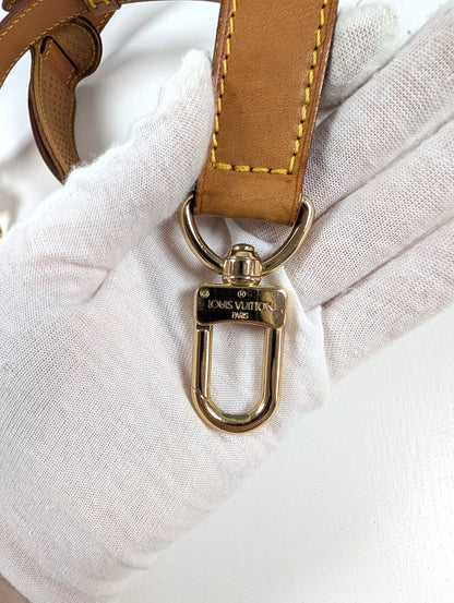 Louis Vuitton shoulder bag