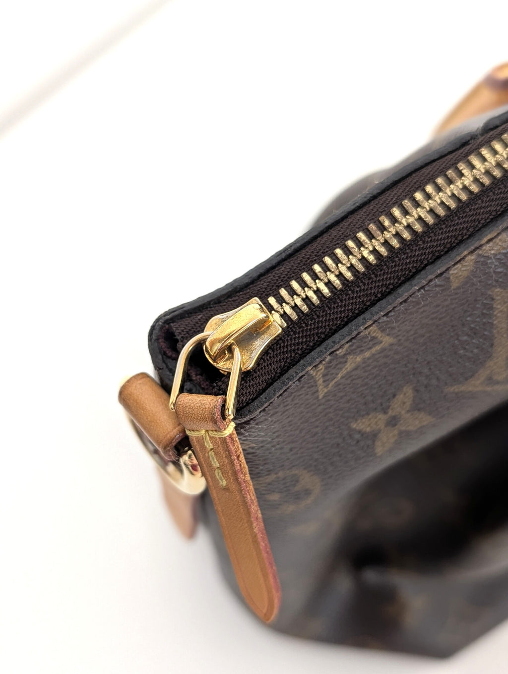 Louis Vuitton Turemme MM Monogram